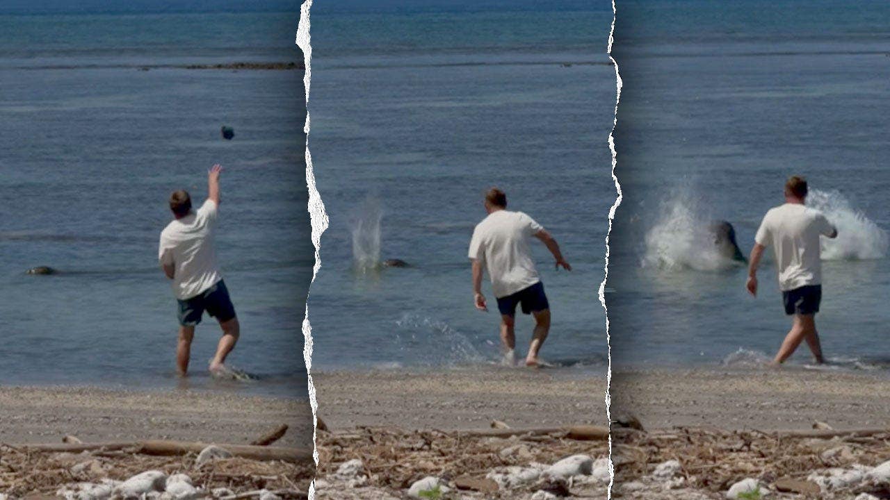 Lawyer for man accused of hitting monk seal says he wanted to help turtles