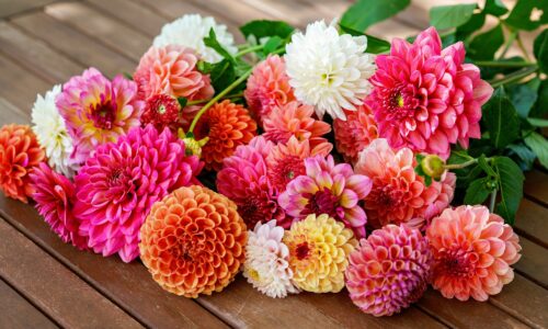 Lowe’s is Giving Away Free Flowers for Mother’s Day in Miami Tomorrow Only