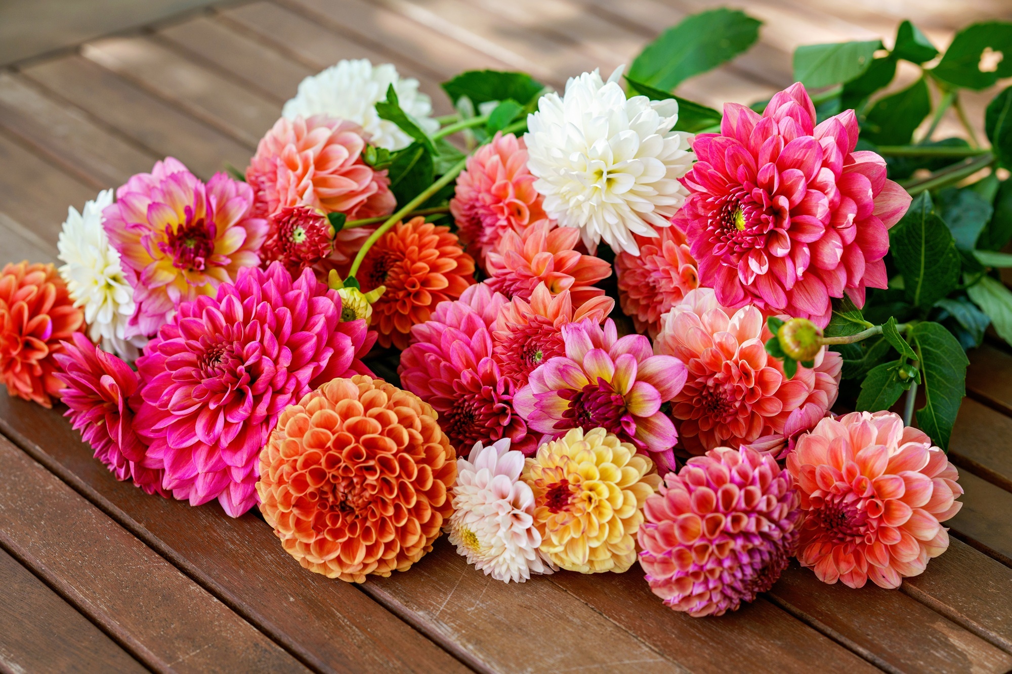 Lowe’s is Giving Away Free Flowers for Mother’s Day in Miami Tomorrow Only