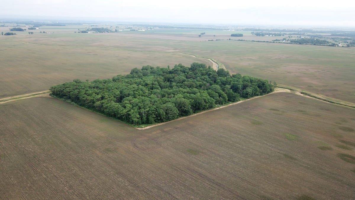 Madison County solar project on Gates-owned land back to siting board