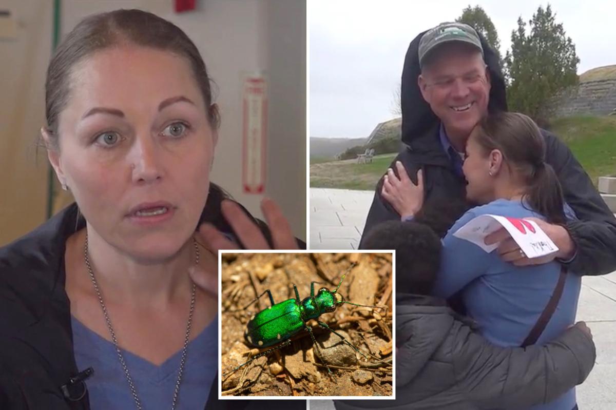 Maine woman picks up ‘beautiful’ bug that caught her eye — it almost killed her