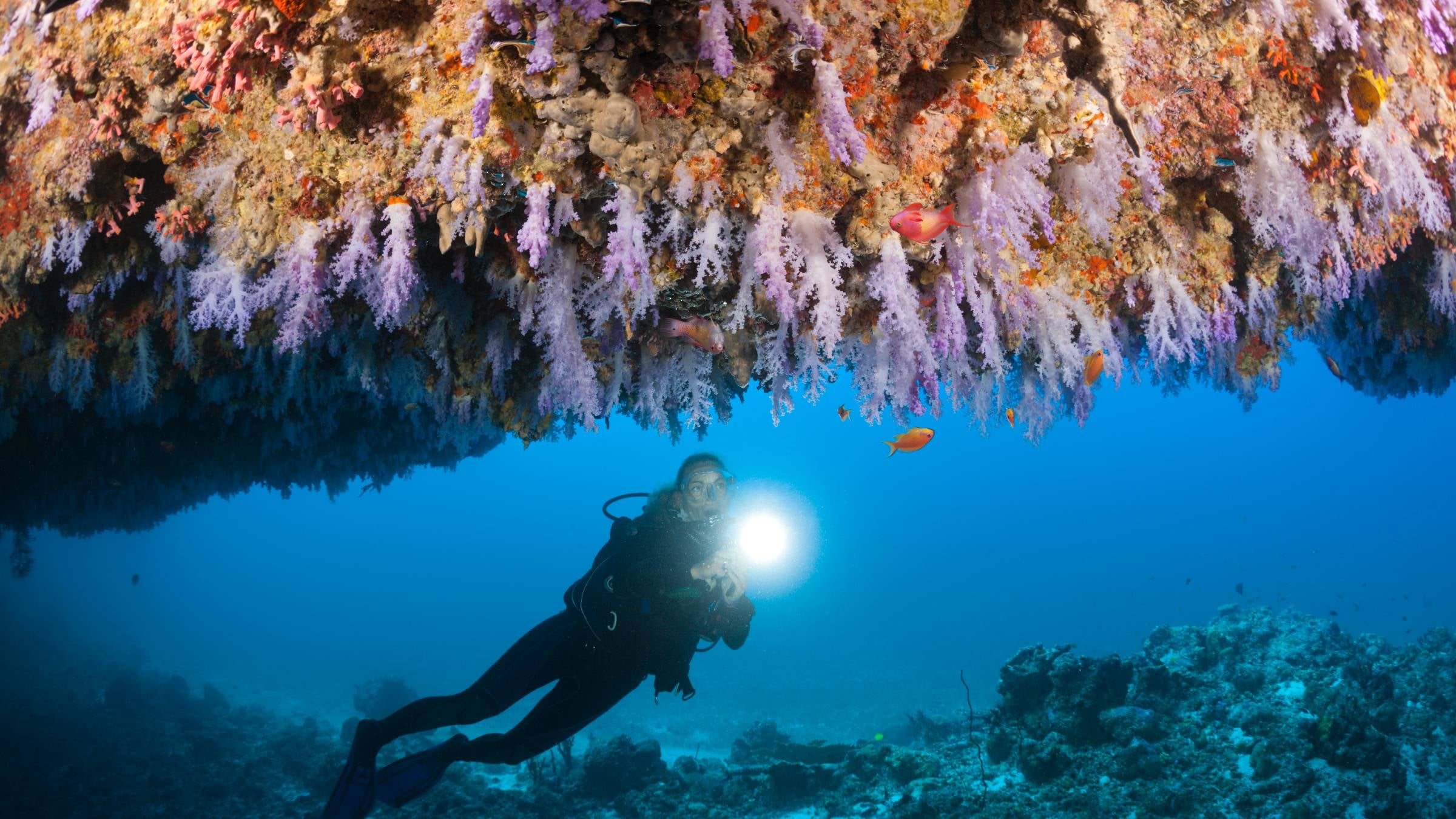 Maldives Cave Diving Accident: Crucial Scuba Safety Lessons
