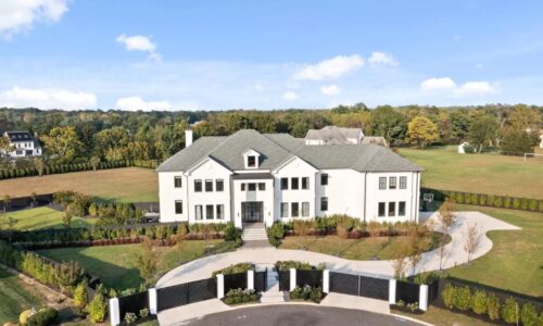 Nick Castellanos Ben Simmons Nj House 6
