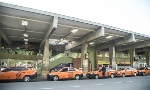 Passageira é flagrada com 24 kg de maconha em ônibus para Ponta Grossa