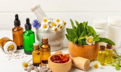Plantas medicinais e fitoterápicos: veja os benefícios para a saúde