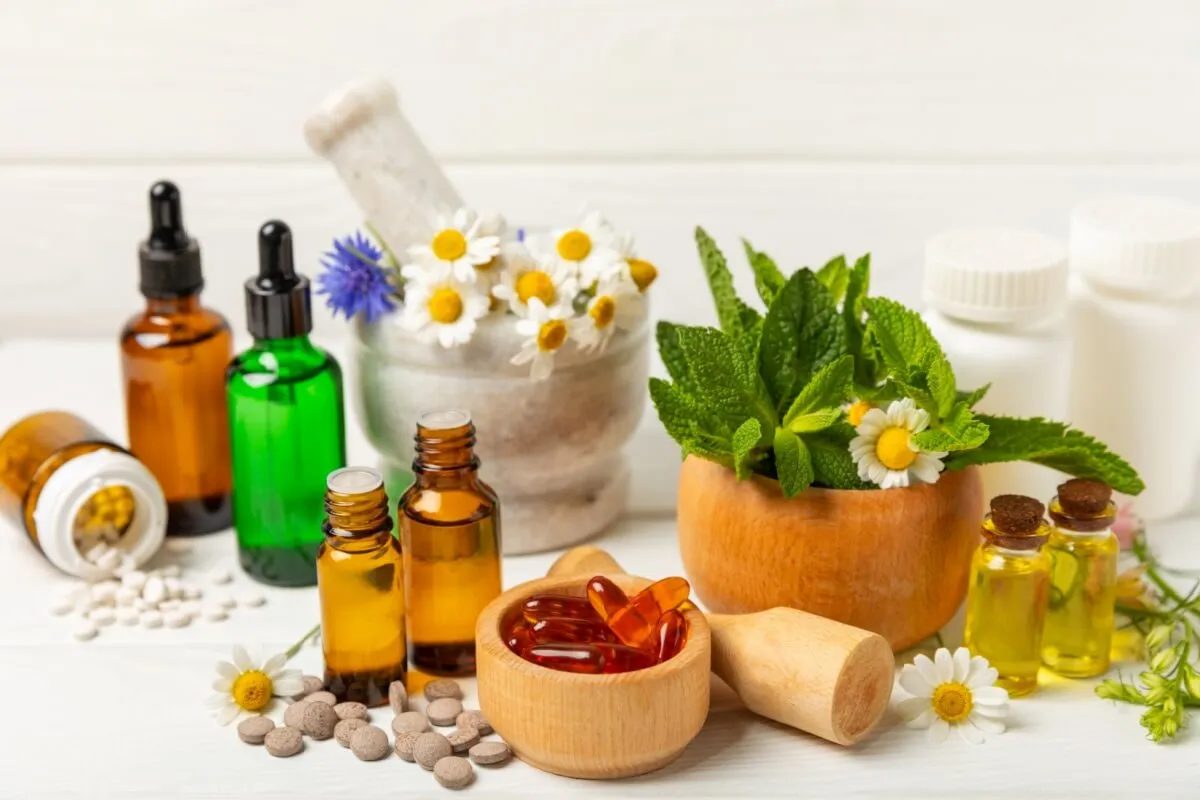 Plantas medicinais e fitoterápicos: veja os benefícios para a saúde