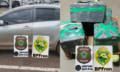 Polícia apreende mais de 340 kg de maconha em Foz do Iguaçu após denúncia anônima