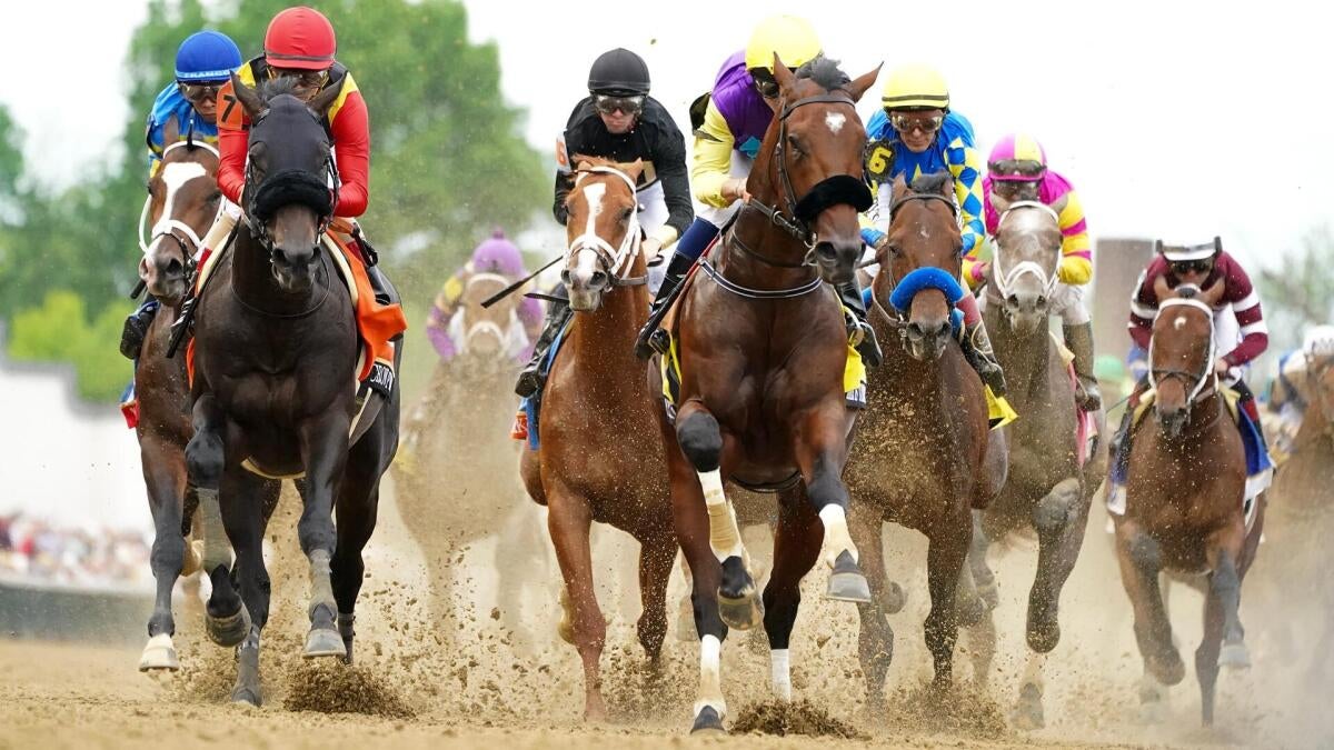 Preakness Stakes 2026 predictions, odds, horses, field: Win, place, show, exacta, trifecta, superfecta picks