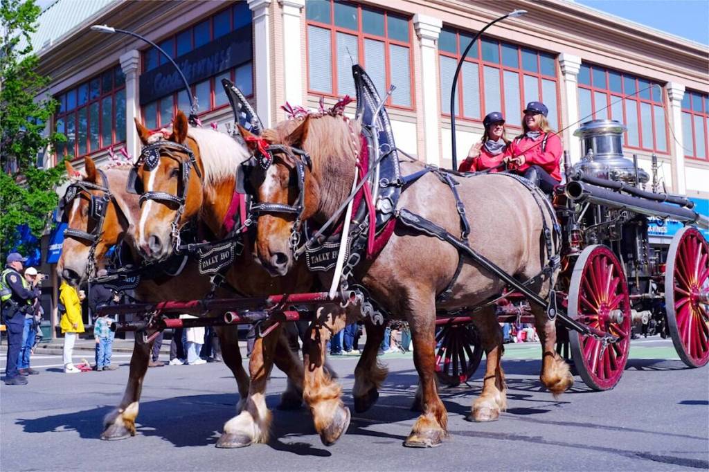 QUIZ: Are you ready for Victoria Day?
