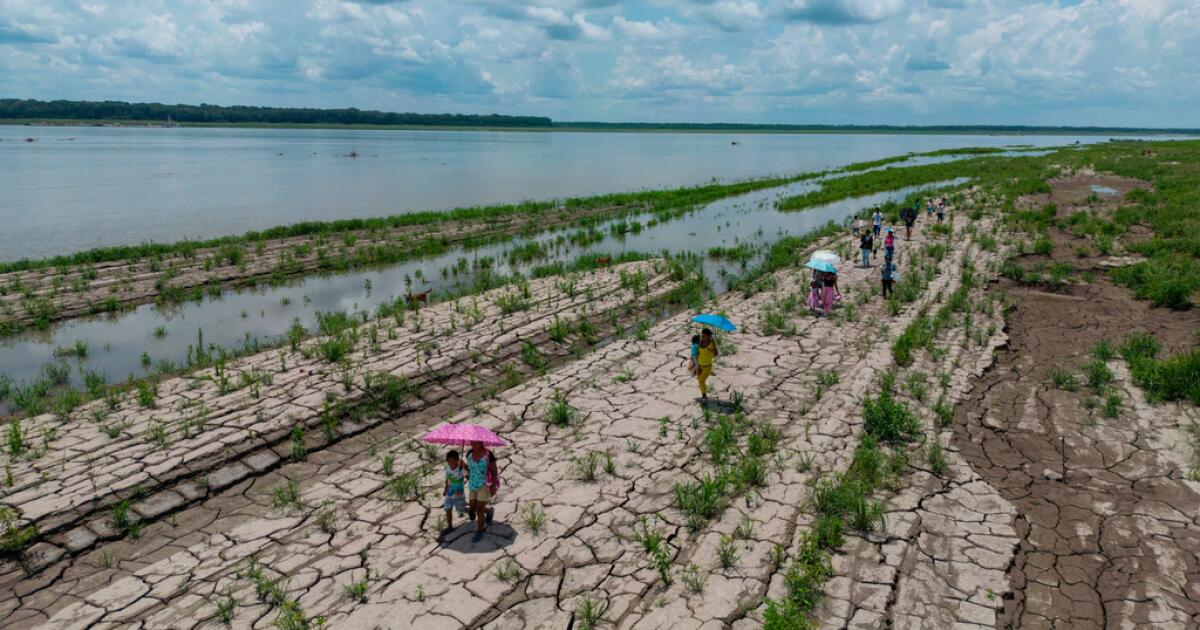 Qué saber sobre los pronósticos de que el fenómeno de El Niño de este año podría batir récords