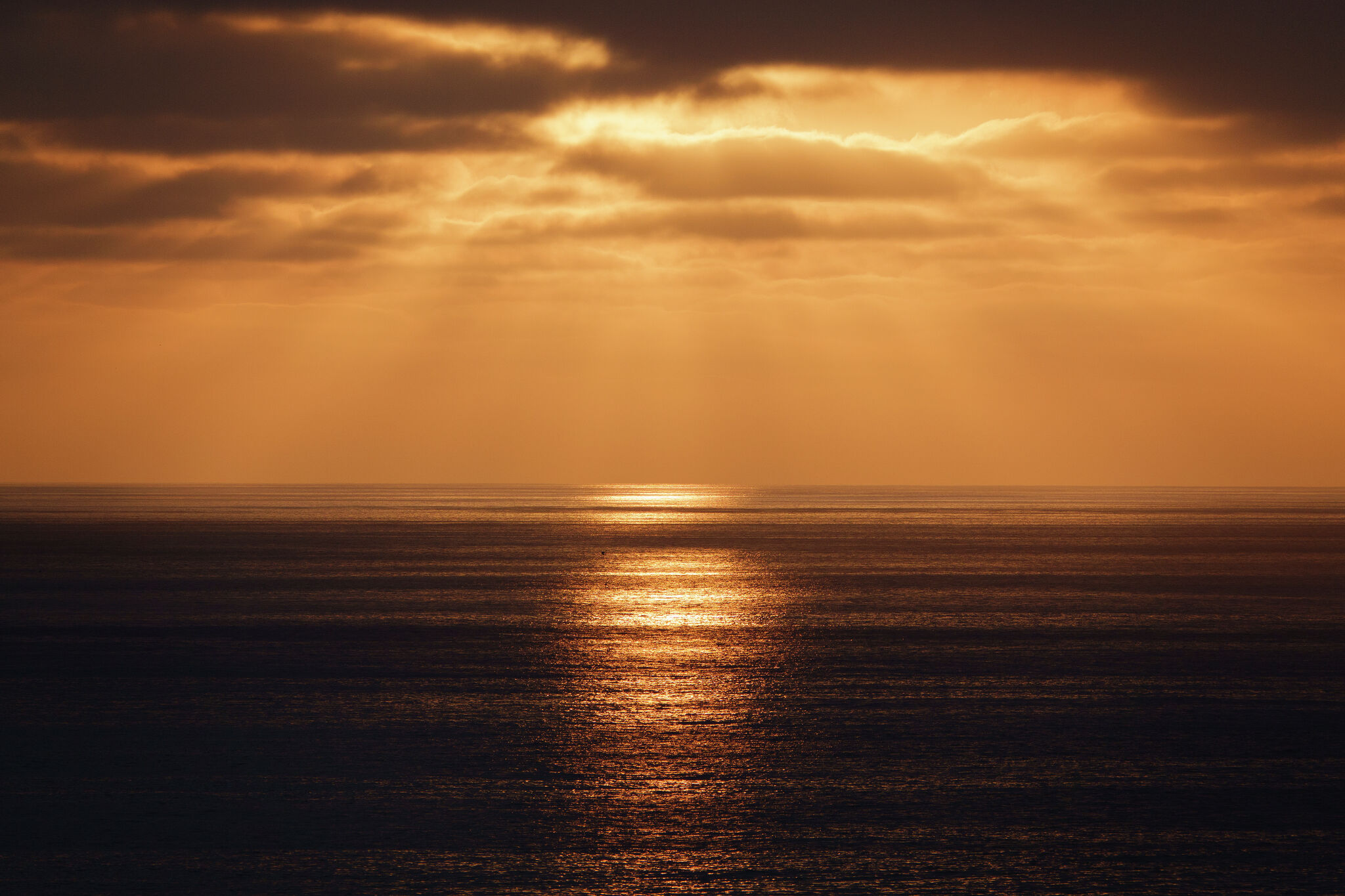 Record El Niño forecast model is literally off the charts