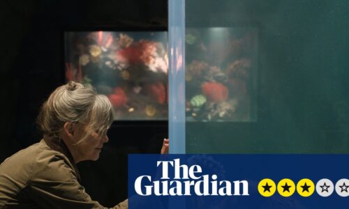 Remarkably Bright Creatures review – Sally Field bonds with octopus in gentle Netflix charmer | Sally Field