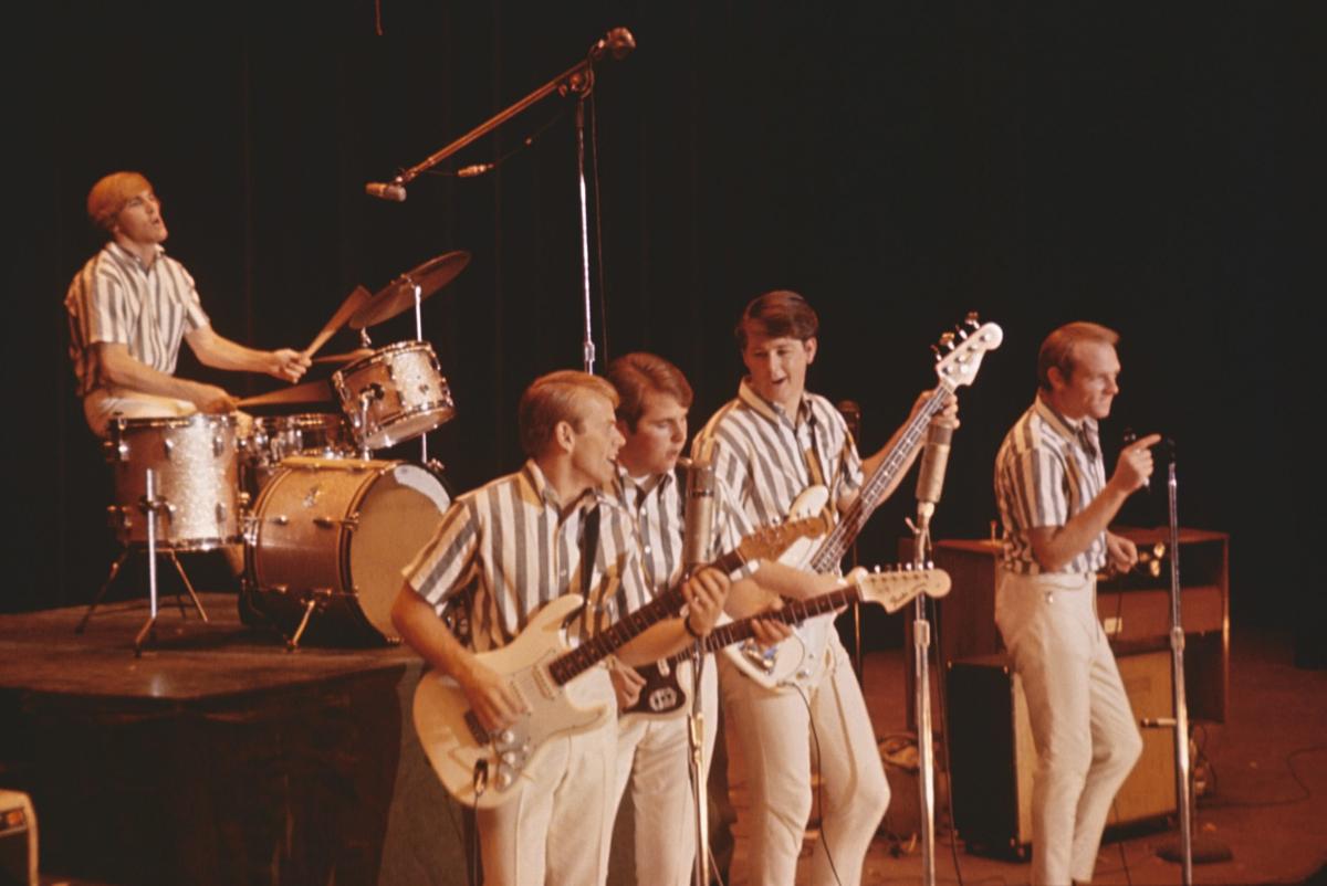 San Diego Zoo Pairs Animal Footage with Beach Boys “Pet Sounds”