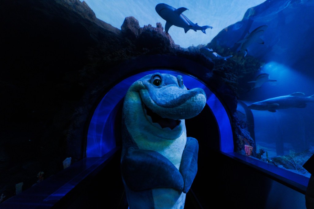 SeaWorld is giving the people what they want – San Diego Union-Tribune