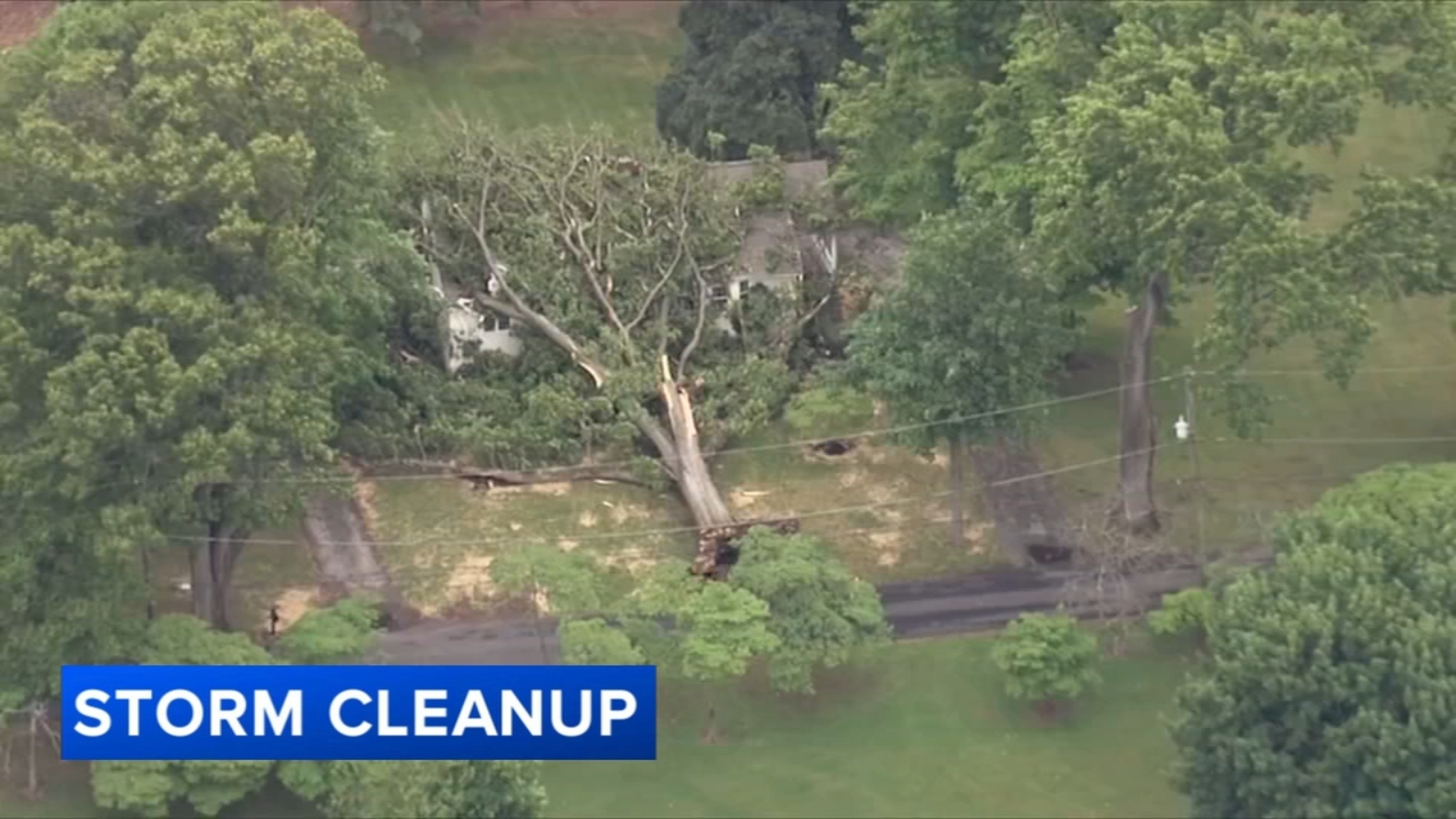 Severe storm downs trees and power lines in Montgomery County, Pennsylvania, leaving thousands without power