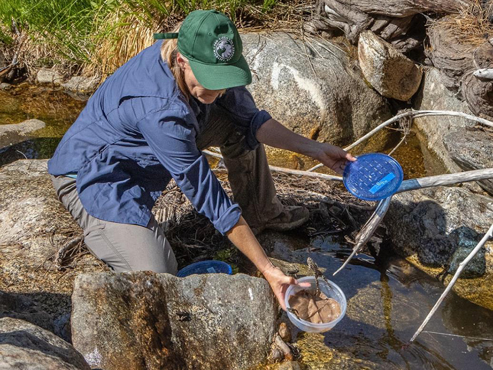 Southwest Conservation Program