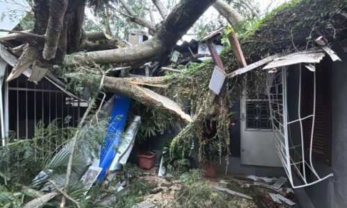 Vendaval derruba árvores e causa transtornos em Porto Alegre