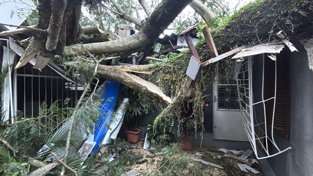 Vendaval derruba árvores e causa transtornos em Porto Alegre