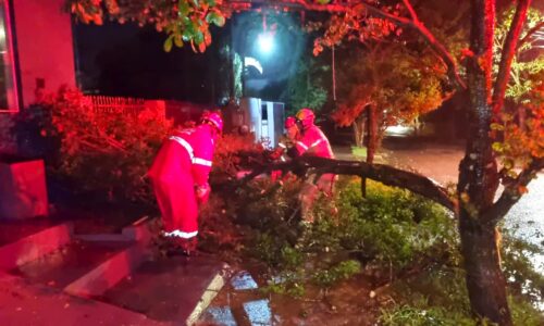 Ventos fortes provocam segunda queda de árvore e interditam acesso de imóvel no Nova Cidade