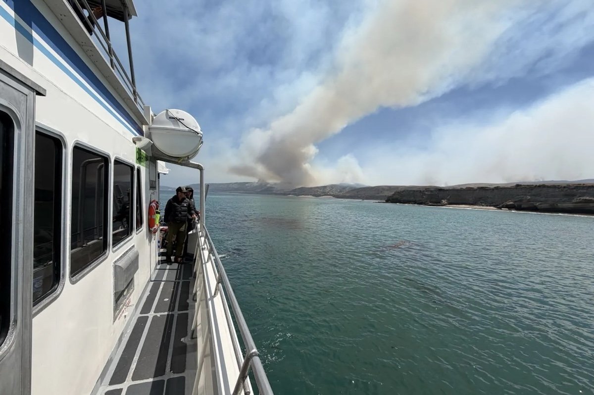 What We’re Losing in the Santa Rosa Island Fire
