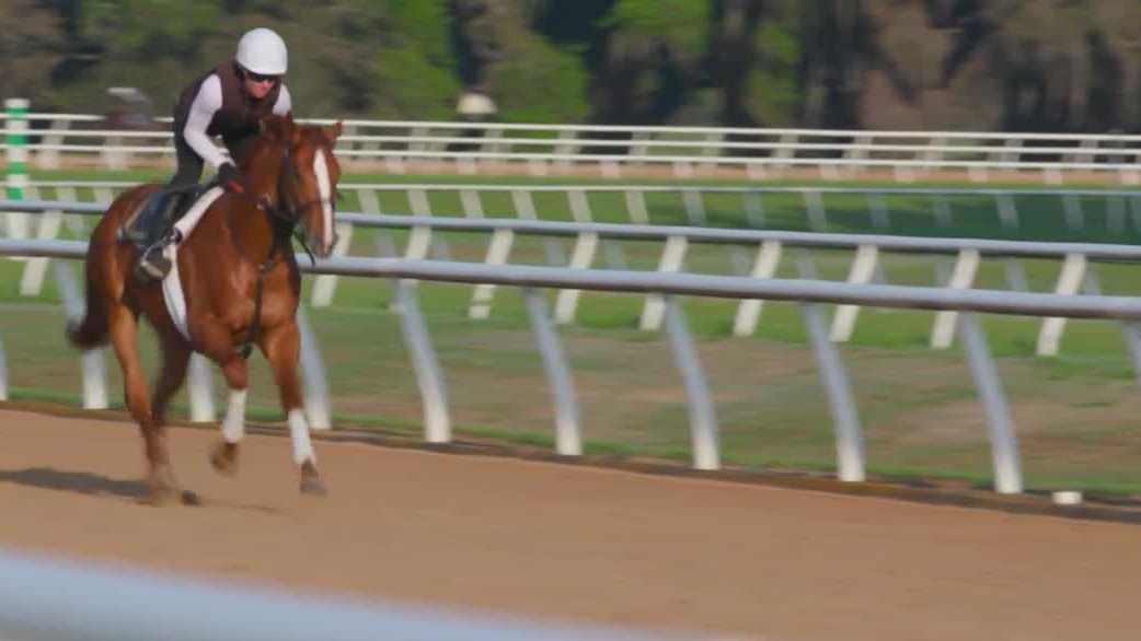 What's in a name? How Kentucky Derby horses get their unique names