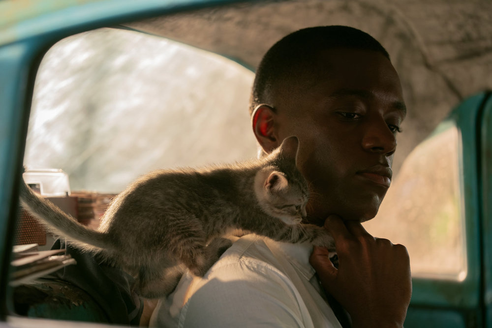 Who is Stanley in 'M.I.A.'? Dylan Jackson on His Role in New Peacock Series