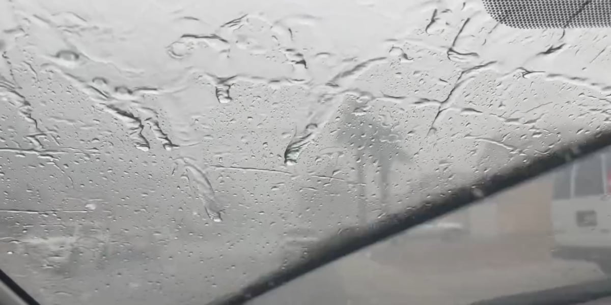 Widespread rain, storms expected Sunday