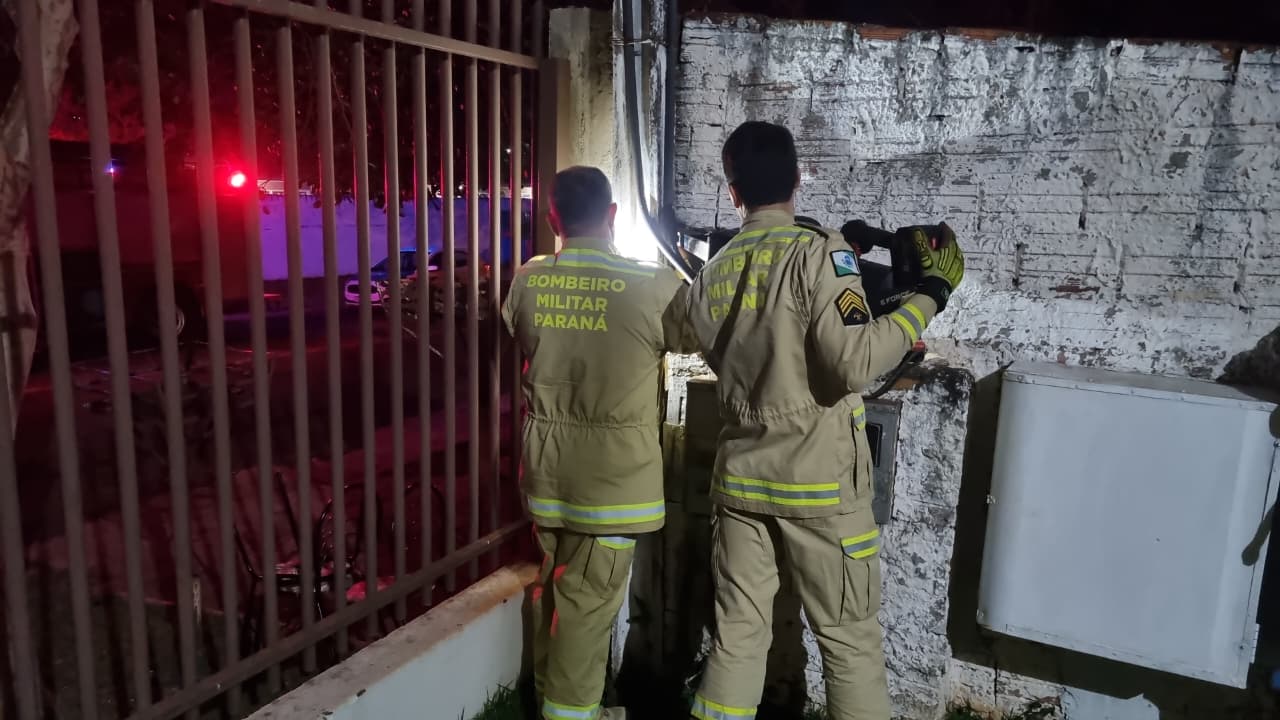 filhote fica preso em caixa de energia e mobiliza bombeiros em resgate delicado