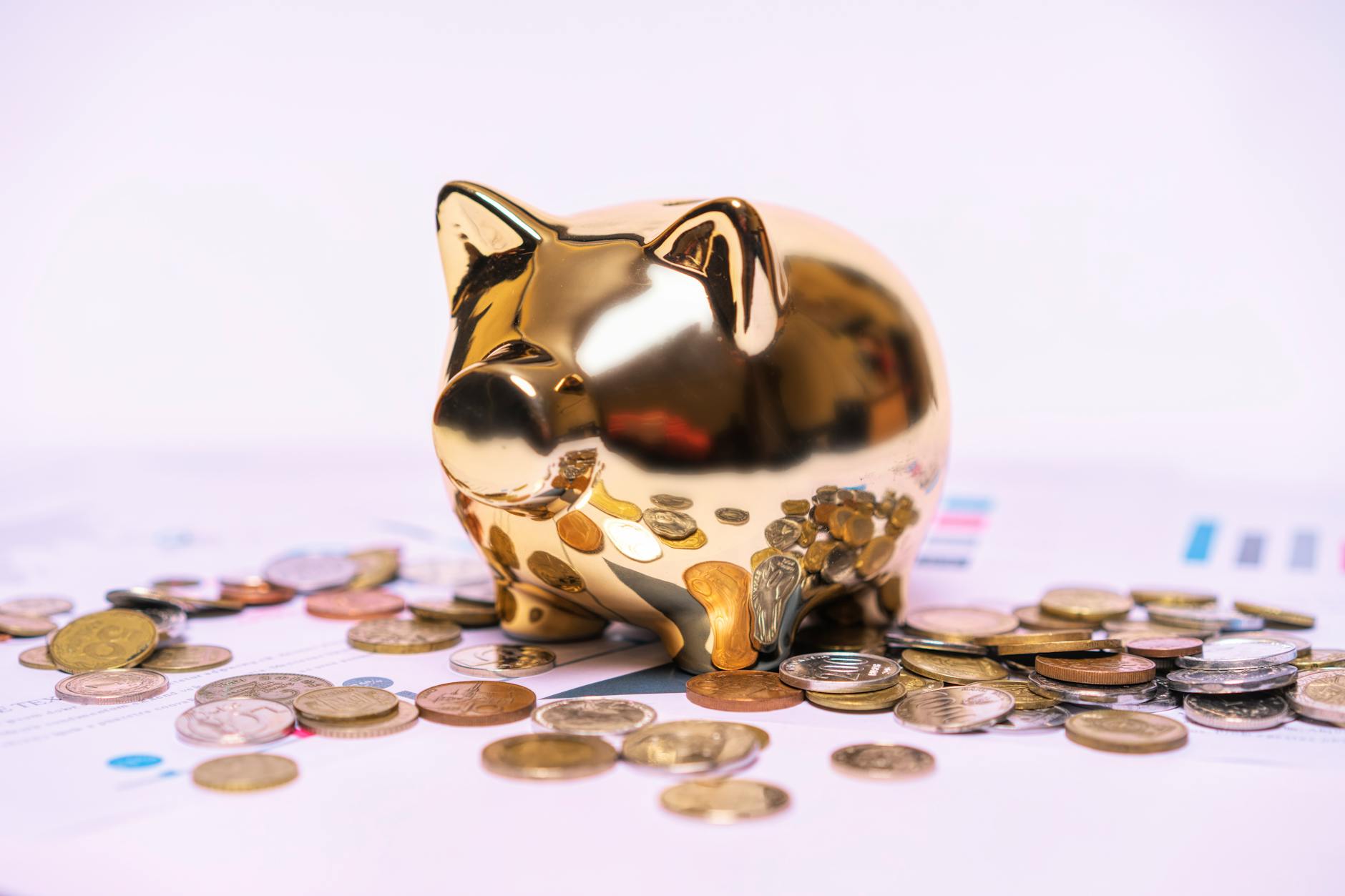 Entenda a importância de não usar sua conta pessoal para cadastrar os fornecedores de sua loja