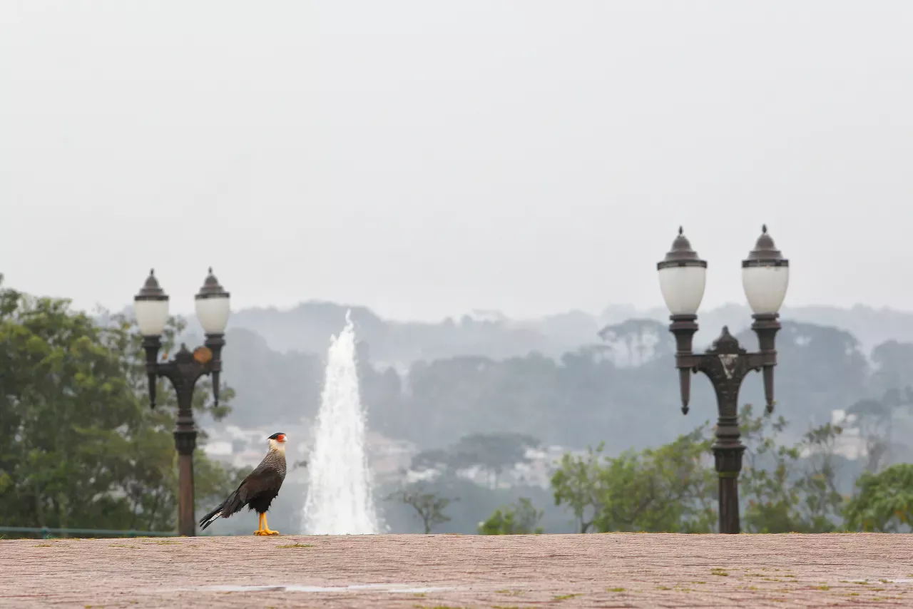 Previsão do tempo para esta sexta-feira em Curitiba: chuva ou sol?
